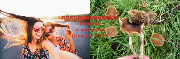 герыч Балахна