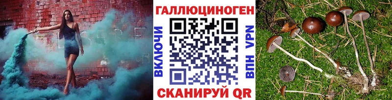 KRAKEN   маркетплейс клад  Псилоцибиновые грибы MAGIC MUSHROOMS  Химки 